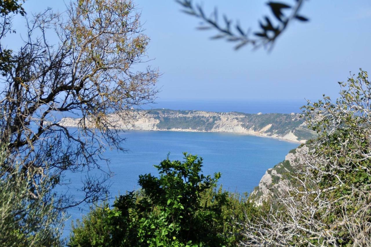 Villa Meli Afionas Corfu 外观 照片